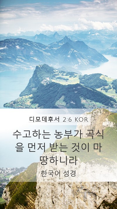 디모데후서 2:6 KOR Bible Verse Image