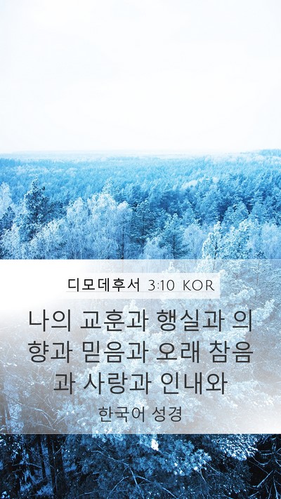 디모데후서 3:10 KOR Bible Verse Image