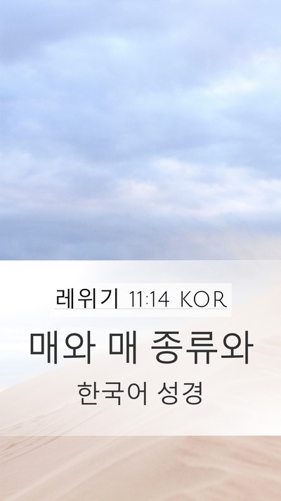레위기 11:14 KOR Mobile Phone Wallpaper - 매와 매 - Mobile Bible Verse Wallpaper