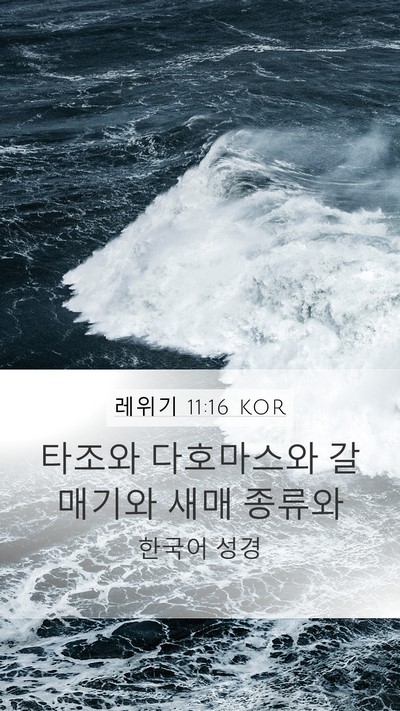 레위기 11:16 KOR Mobile Phone Wallpaper - 타조와 다호마스와 갈매기와 새매 - Mobile Bible Verse Wallpaper