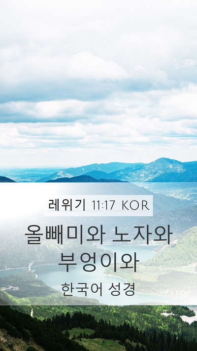 레위기 11:17 KOR Mobile Phone Wallpaper - 올빼미와 노자와 - Mobile Bible Verse Wallpaper