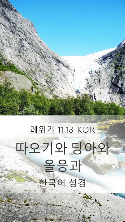 레위기 11:18 KOR Mobile Phone Wallpaper - 따오기와 당아와 - Mobile Bible Verse Wallpaper