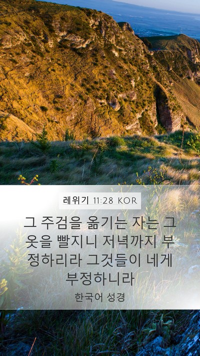 레위기 11:28 KOR Bible Verse Image