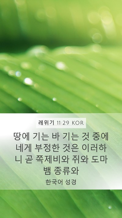 레위기 11:29 KOR Bible Verse Image