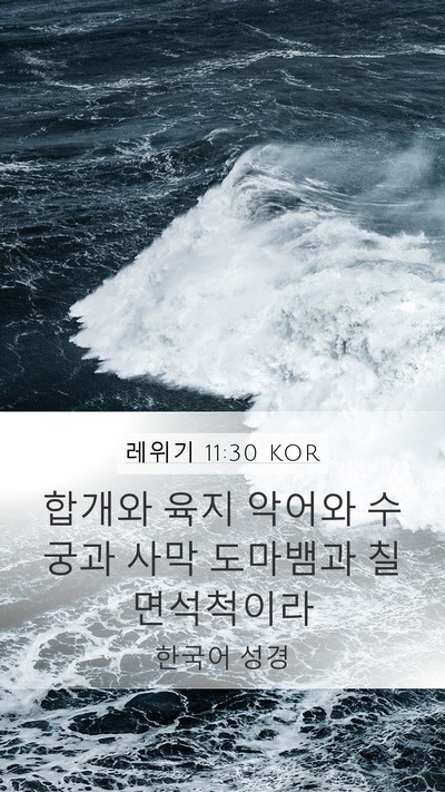 레위기 11:30 KOR Mobile Phone Wallpaper - 합개와 육지 악어와 수궁과 사막 - Mobile Bible Verse Wallpaper