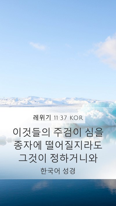 레위기 11:37 KOR Mobile Phone Wallpaper - 이것들의 주검이 심을 종자에 - Mobile Bible Verse Wallpaper
