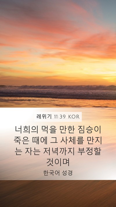 레위기 11:39 KOR Bible Verse Image