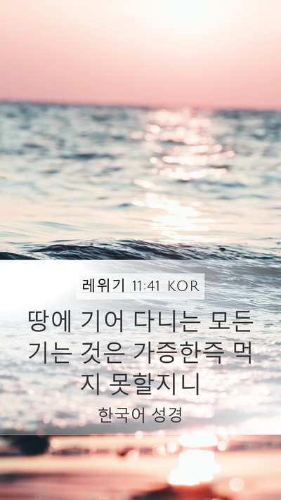 레위기 11:41 KOR Bible Verse Image