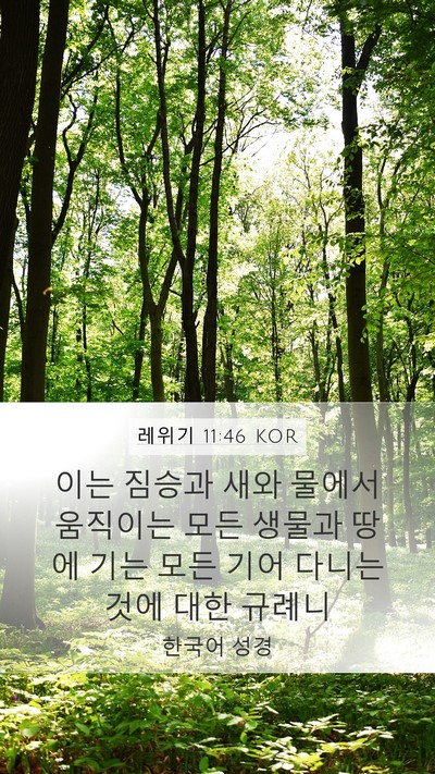 레위기 11:46 KOR Bible Verse Image