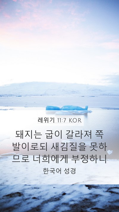 레위기 11:7 KOR Bible Verse Image