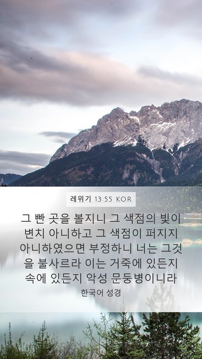레위기 13:55 KOR Mobile Phone Wallpaper - 그 빤 곳을 볼지니 그 색점의 빛이 - Mobile Bible Verse Wallpaper