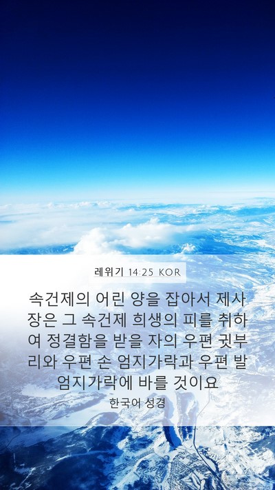레위기 14:25 KOR Mobile Phone Wallpaper - 속건제의 어린 양을 잡아서 제사장은 - Mobile Bible Verse Wallpaper