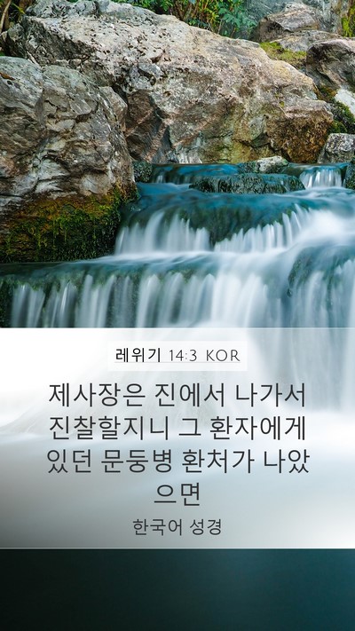 레위기 14:3 KOR Bible Verse Image