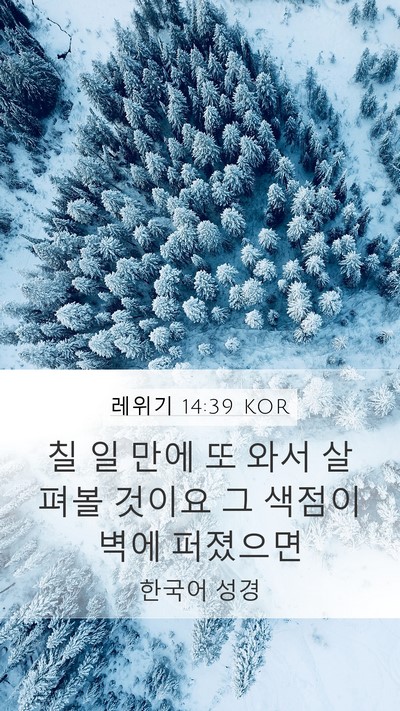 레위기 14:39 KOR Mobile Phone Wallpaper - 칠 일 만에 또 와서 살펴볼 것이요 그 - Mobile Bible Verse Wallpaper