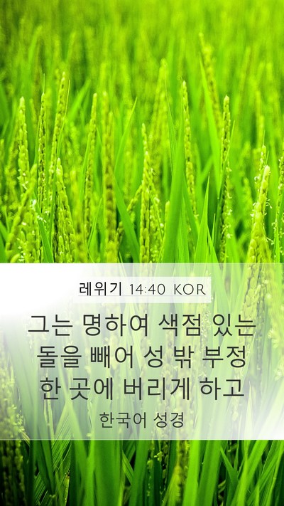 레위기 14:40 KOR Bible Verse Image