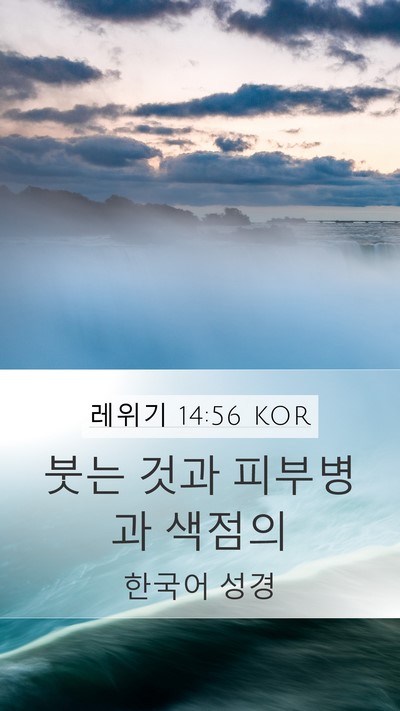 레위기 14:56 KOR Bible Verse Image
