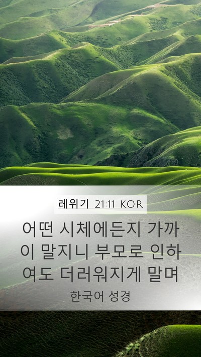 레위기 21:11 KOR Bible Verse Image