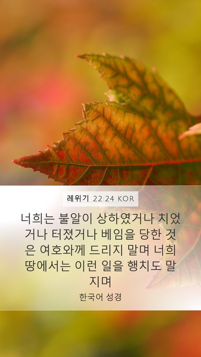 레위기 22:24 KOR Mobile Phone Wallpaper - 너희는 불알이 상하였거나 치었거나 - Mobile Bible Verse Wallpaper