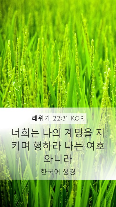 레위기 22:31 KOR Bible Verse Image