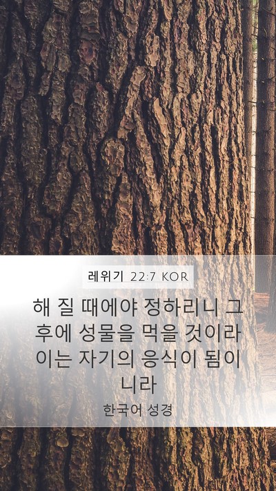 레위기 22:7 KOR Mobile Phone Wallpaper - 해 질 때에야 정하리니 그 후에 - Mobile Bible Verse Wallpaper