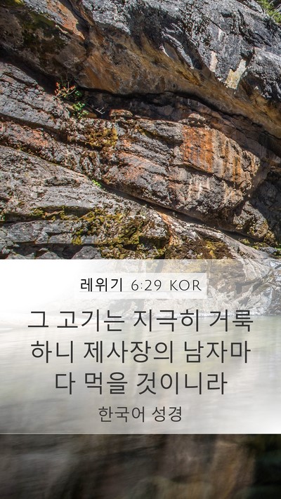 레위기 6:29 KOR Bible Verse Image