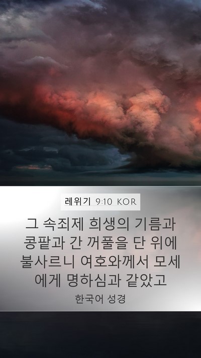 레위기 9:10 KOR Mobile Phone Wallpaper - 그 속죄제 희생의 기름과 콩팥과 간 - Mobile Bible Verse Wallpaper