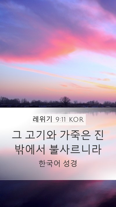 레위기 9:11 KOR Mobile Phone Wallpaper - 그 고기와 가죽은 진 밖에서 - Mobile Bible Verse Wallpaper