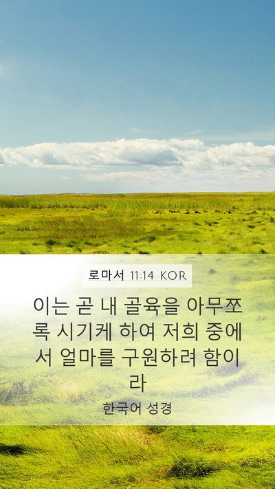 로마서 11:14 KOR Bible Verse Image