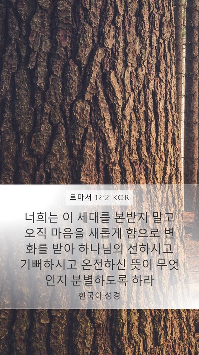 로마서 12:2 KOR Mobile Phone Wallpaper - 너희는 이 세대를 본받지 말고 오직 - Mobile Bible Verse Wallpaper