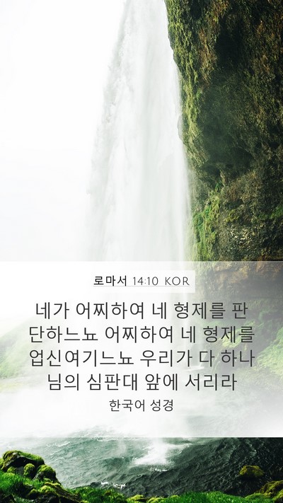로마서 14:10 KOR Bible Verse Image