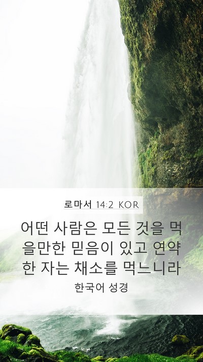 로마서 14:2 KOR Bible Verse Image
