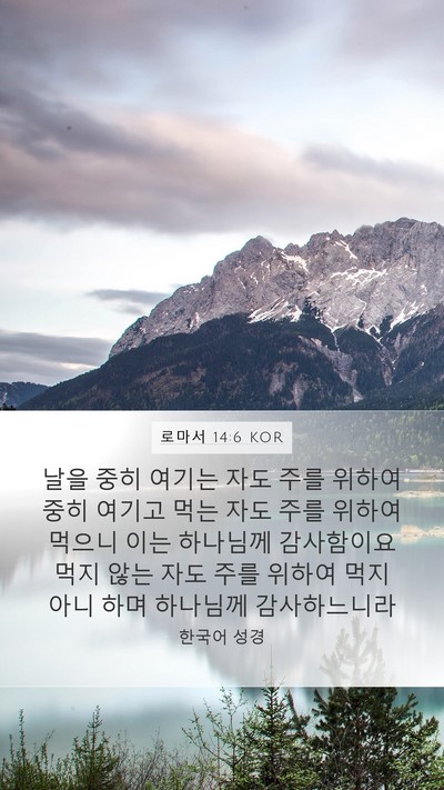 로마서 14:6 KOR Bible Verse Image