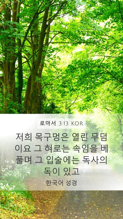 로마서 3:13 KOR Bible Verse Image