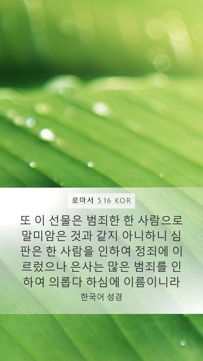 로마서 5:16 KOR Bible Verse Image