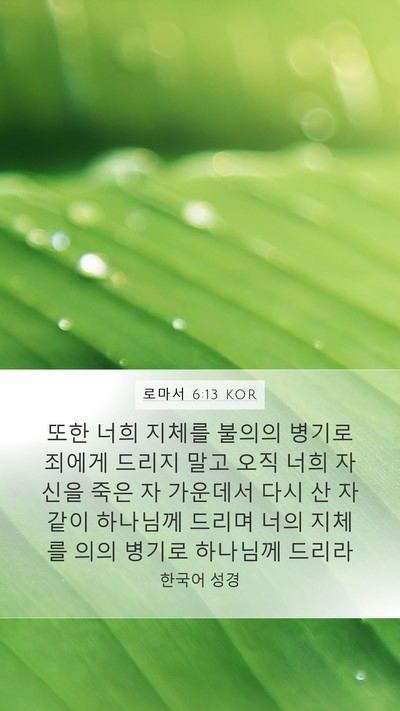로마서 6:13 KOR Mobile Phone Wallpaper - 또한 너희 지체를 불의의 병기로 - Mobile Bible Verse Wallpaper
