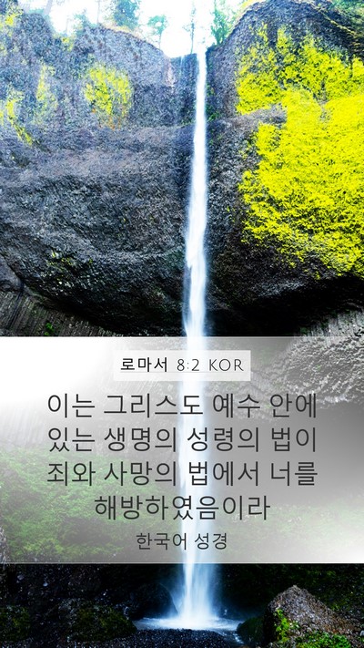 로마서 8:2 KOR Bible Verse Image