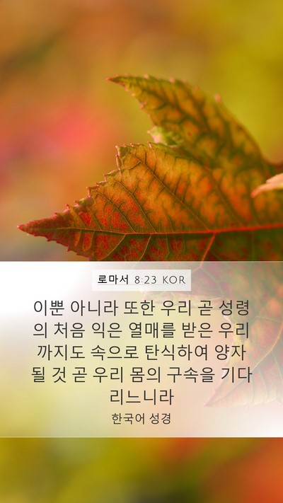 로마서 8:23 KOR Bible Verse Image