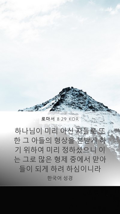 로마서 8:29 KOR Bible Verse Image