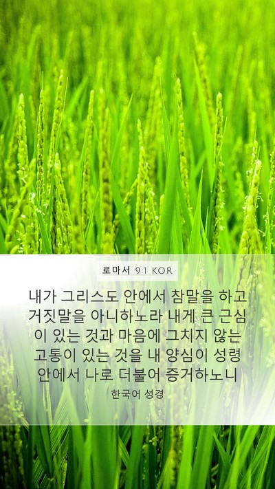 로마서 9:1 KOR Bible Verse Image