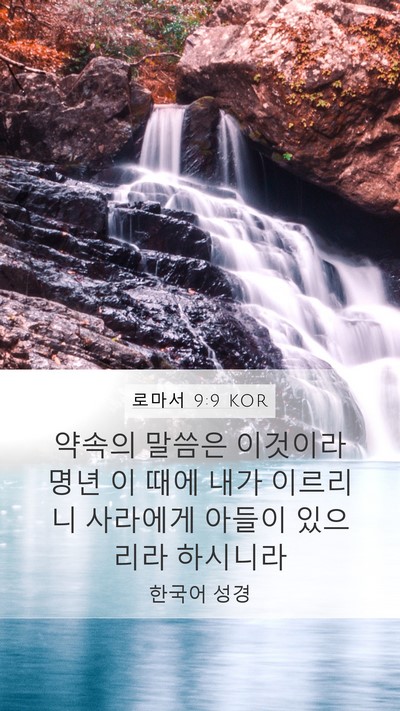 로마서 9:9 KOR Bible Verse Image