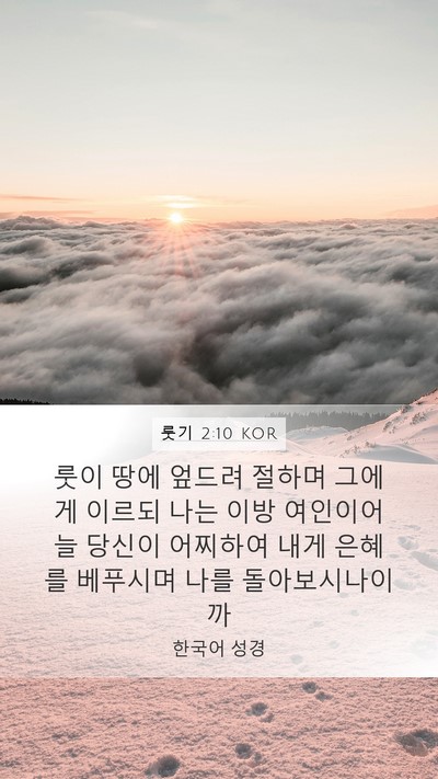 룻기 2:10 KOR Bible Verse Image