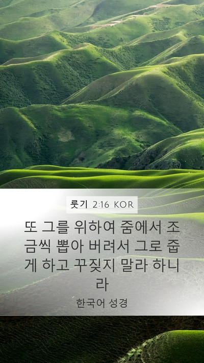 룻기 2:16 KOR Mobile Phone Wallpaper - 또 그를 위하여 줌에서 조금씩 뽑아 - Mobile Bible Verse Wallpaper