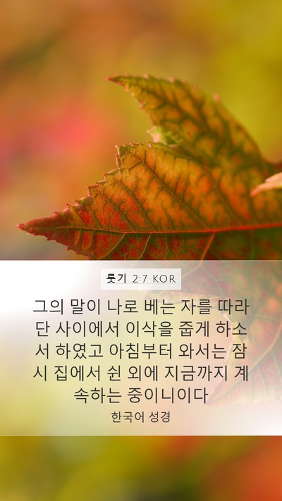 룻기 2:7 KOR Bible Verse Image