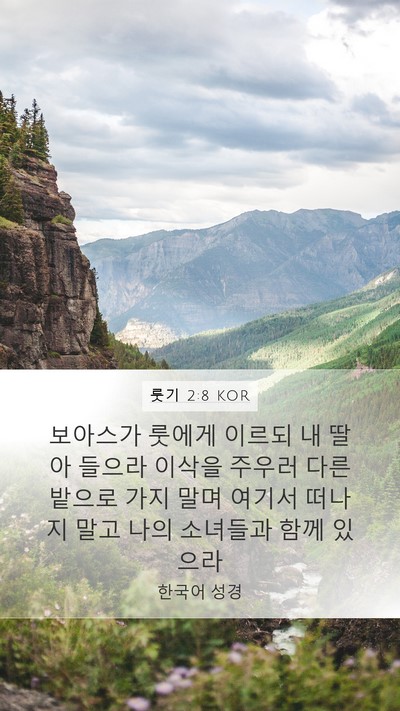룻기 2:8 KOR Bible Verse Image