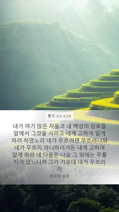 룻기 4:4 KOR Mobile Phone Wallpaper - 내가 여기 앉은 자들과 내 백성의 - Mobile Bible Verse Wallpaper