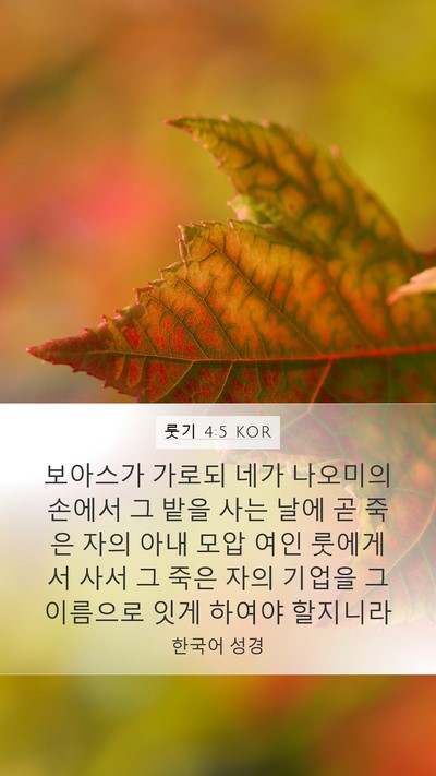 룻기 4:5 KOR Mobile Phone Wallpaper - 보아스가 가로되 네가 나오미의 - Mobile Bible Verse Wallpaper