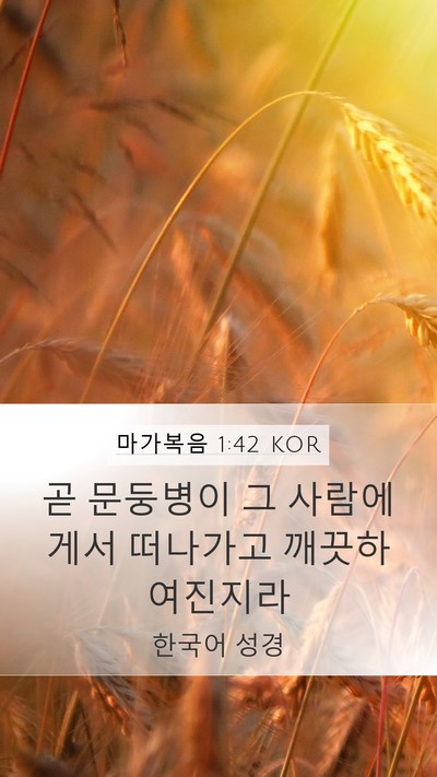 마가복음 1:42 KOR Mobile Phone Wallpaper - 곧 문둥병이 그 사람에게서 떠나가고 - Mobile Bible Verse Wallpaper