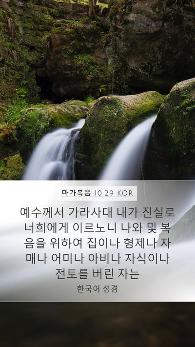 마가복음 10:29 KOR Bible Verse Image