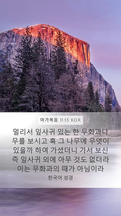 마가복음 11:13 KOR Mobile Phone Wallpaper - 멀리서 잎사귀 있는 한 무화과나무를 - Mobile Bible Verse Wallpaper