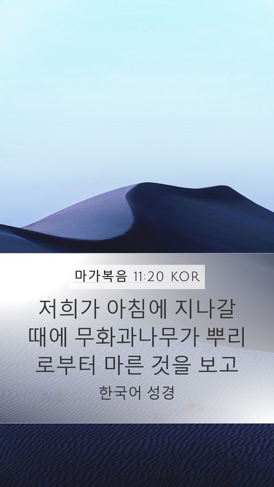 마가복음 11:20 KOR Bible Verse Image